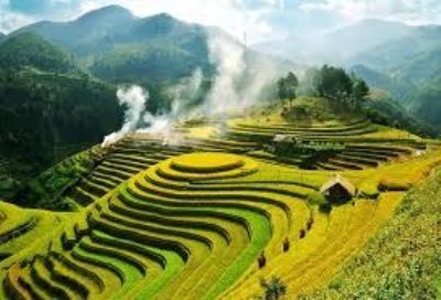Tạo thu nhập trọn đời với Annuity – lựa chọn của người có kế hoạch