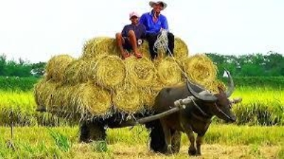 Cách Niên kim sinh lời bảo đảm trả tiền cho bạn